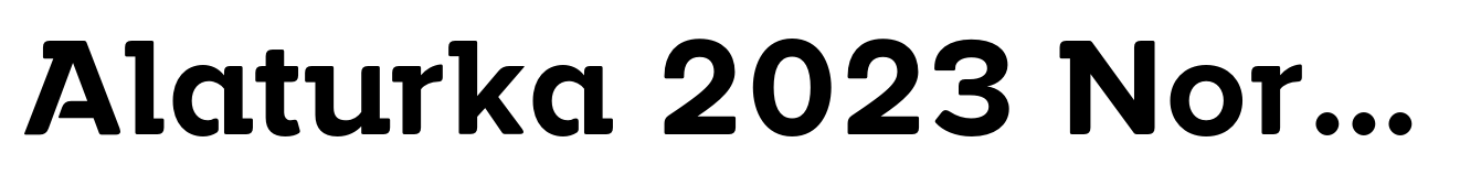 Alaturka 2023 Normal Bold